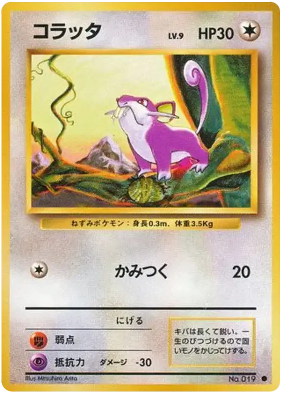 Rattata (Japanese) – Base Set #019 – Pokemon Card – CGC 8.0 Near Mint/Mint